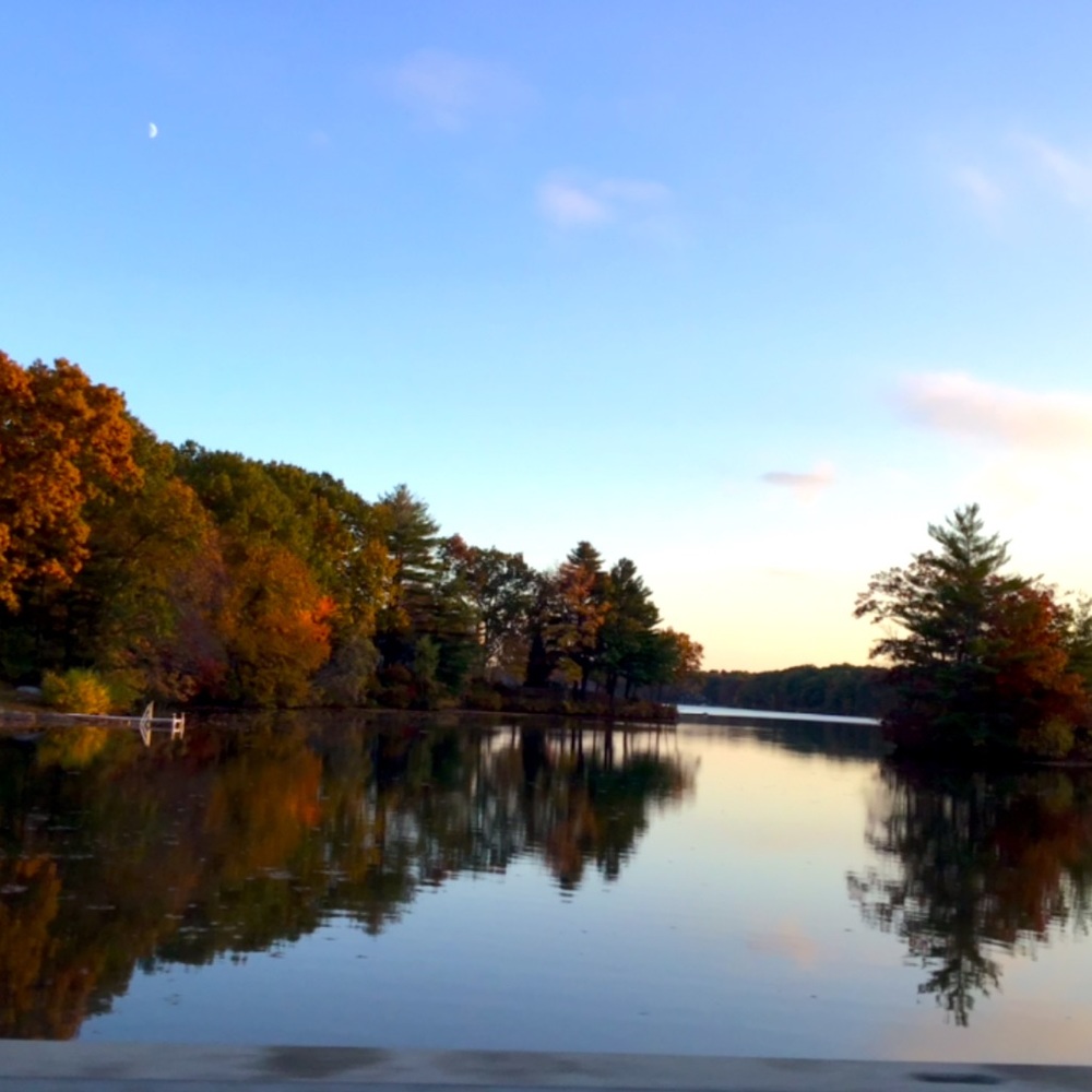 2 for 1! Lake House Views *prints 4 sale!*